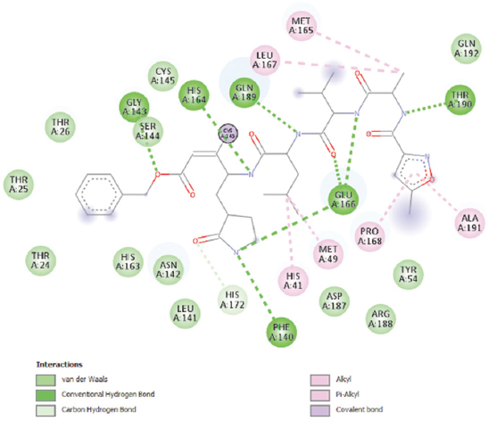 2D diagram of interaction of active site of Mpro with N3 inhibitor
