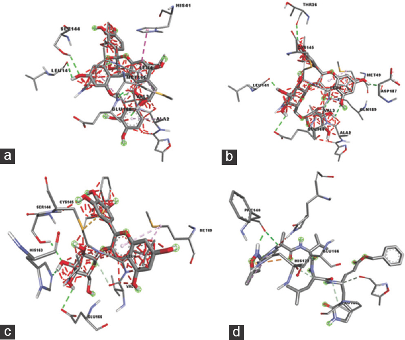 3D Diagrams of Clitoria ternatea Compounds Interaction with SARS-CoV-2 Mpro Active Site: (a) Procyanidin A2, (b) Quercetin-3-rutinoside, (c) Delphinidin-3-O-glucoside, (d) N3 inhibitor