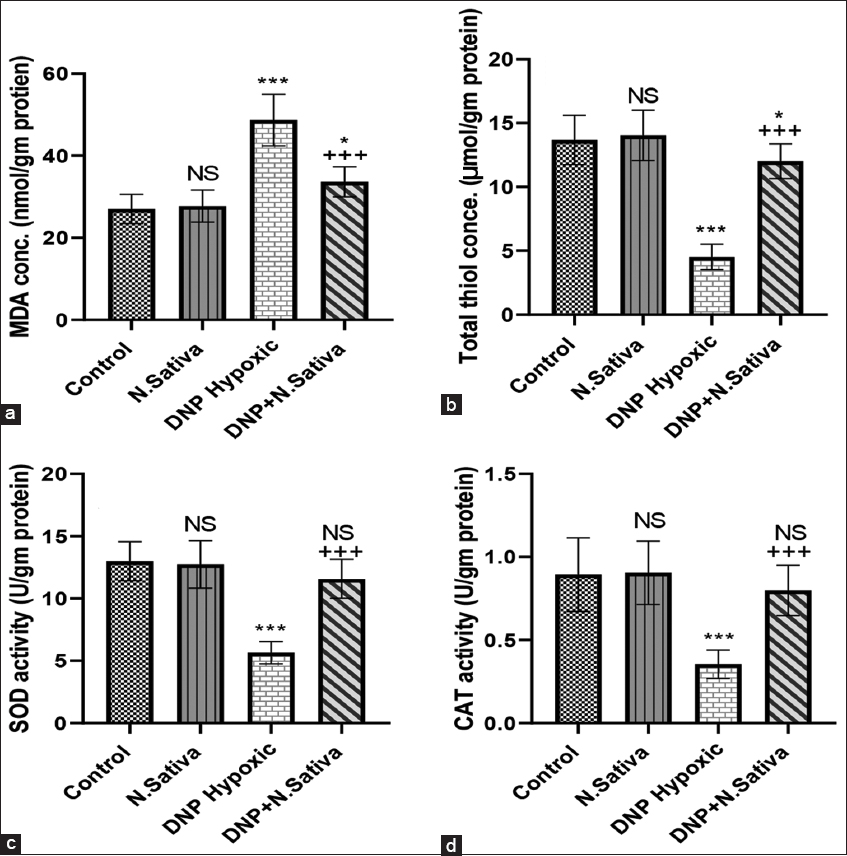 (a-d) Renal malondialdehyde (a), total thiol (b), superoxide dismutase activity (c) and catalase activity (d) in the studied groups of animals. NS: Non-significant versus control. *: P<0.05 and ***: P<0.001 versus control and Nigella sativa. + + +: P<0.001 versus dinitrophenol hypoxic group. Data are means ± standard deviation. 10 animals in each group