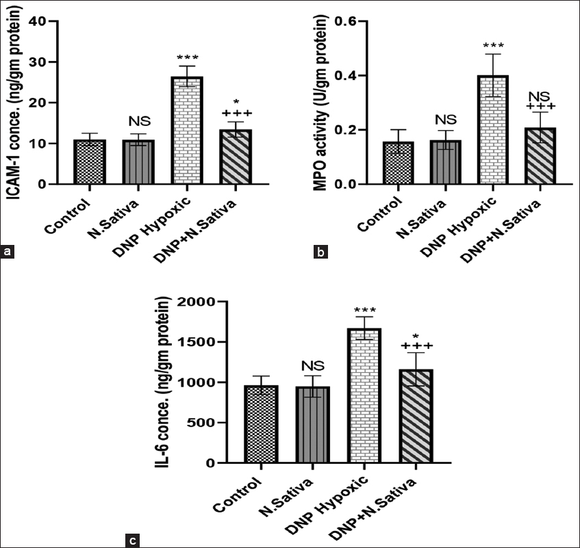 (a-c) Renal intercellular adhesion molecule-1 (a), myeloperoxidase activity (b), and interleukin-6 (c) in the studied groups of animals. NS: Non-significant versus control. *: P<0.05, and ***: P<0.001 versus control and Nigella sativa and + + +: P<0.001 versus dinitrophenol hypoxic group. Data are means ± standard deviation. 10 animals in each group