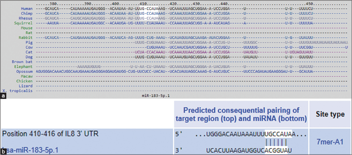 (a) TargetScan predicted duplex of hsa-miR-183-5p with the seed sequence in the 3’UTR of interleukin-8 (IL-8) mRNA in human, chimp, rhesus and in other species. (b) TargetScan predicted duplex of hsa-miR-183-5p with the seed sequence in the 3’UTR of human IL-8 mRNA at position 410–416 bases