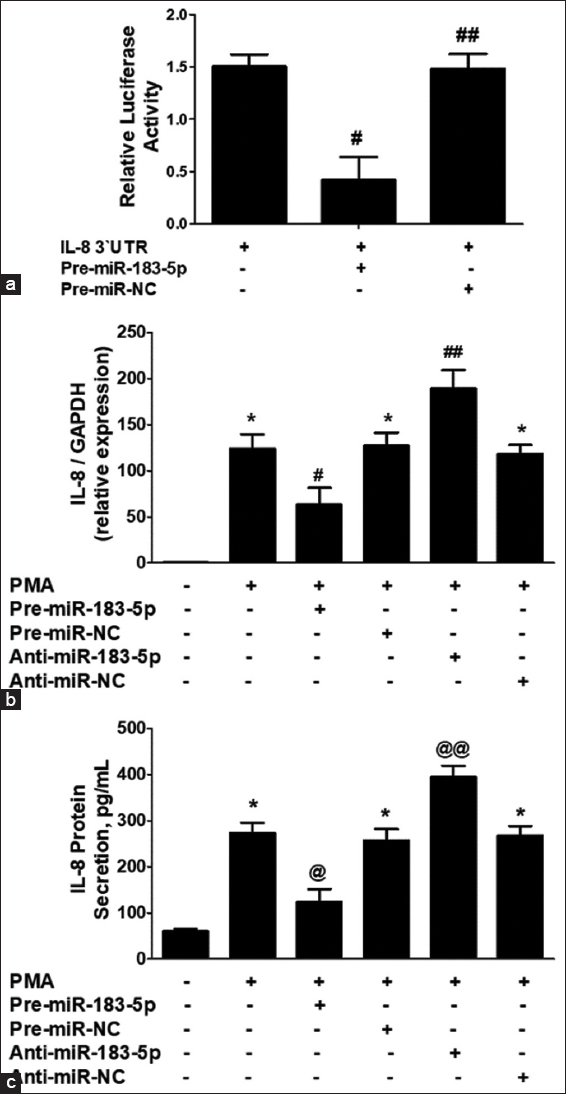 (a) Luciferase activity in CaSKi cancer cells transfected with the reporter vector and pre-miR-183-5p. Transfection CaSKi cancer cells with pre-miR negative control (pre-miR-NC) was used as a negative control. #P<0.01 versus interleukin-8 (IL-8) 3’UTR alone. ##P>0.05 versus IL-8 3’UTR alone. (b) IL-8 mRNA expression in pre-miR-183-5p and anti-miR-183-5p transfected CasKi cervical cancer cells after 24 h of phorbol 12-myristate 13-acetate (PMA) stimulation. *P<0.001 versus untreated cancer cells; #P<0.05 versus*; ##P<0.05 versus*; ##P<0.05 versus#. (c) IL-8 protein expression in pre-miR-183-5p and anti-miR-183-5p transfected CasKi cervical cancer cells after 24 h of PMA stimulation. *P<0.001 versus untreated cancer cells; *P<0.05 versus @; @@P<0.05 versus*; @@P<0.05 versus@. Gene expression in unstimulated cancer cells was used as a control and expression of RNU6B/GAPDH was used as an endogenous control. IL-8 protein was determined by IL-8-specific sandwich enzyme-linked immunosorbent assays. The results are expressed as the mean±standard deviation from three independent experiments