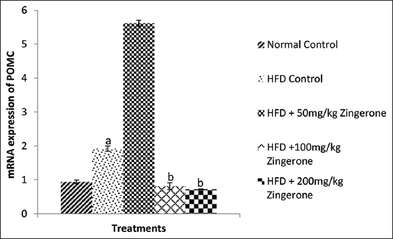 Effect of maternal zingerone administration on messenger RNA relative expression of POMC in offspring of pregnant HFD-fed wistar rats. Bars represent the mean ± standard error of mean of 6 animals per group. aP < 0.05 compared to normal control group, bP < 0.05 compared to HFD control group (one-way analysis of variance followed by Bonferroni’s post hoc test). HFD: High-fat diet, POMA: Pro-opiomelanocortin
