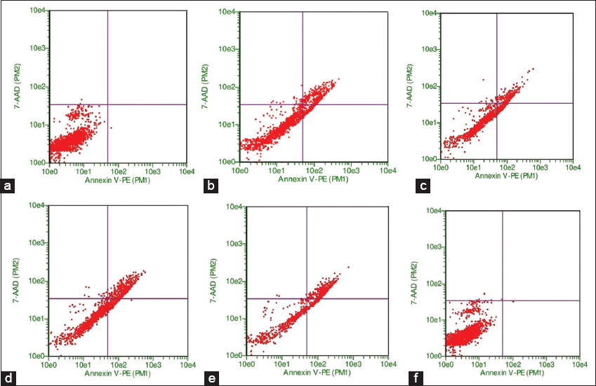 Flow cytometry analysis of apoptosis in breast carcinoma MCF-7 cells under various treatments. Untreated MCF-7 cells (a) and cells treated with 160 μM of avenanthramide C (AVC) alone (b) did not show significant apoptosis. Cells treated with 3 μM of doxorubicin (DOX) alone (c) and 1.5 μM DOX combined with 160 μM AVC (d) demonstrated a moderate increase in early apoptosis. The most significant apoptotic response was observed in MCF-7 cells treated with a combination of 3 μM DOX and 160 μM AVC (e), with an apoptosis rate of 75.9%. Cells treated with increasing doses of DOX (1.5 μM and 3 μM) in combination with AVC (f) showed higher rates of early apoptosis than those treated with DOX alone