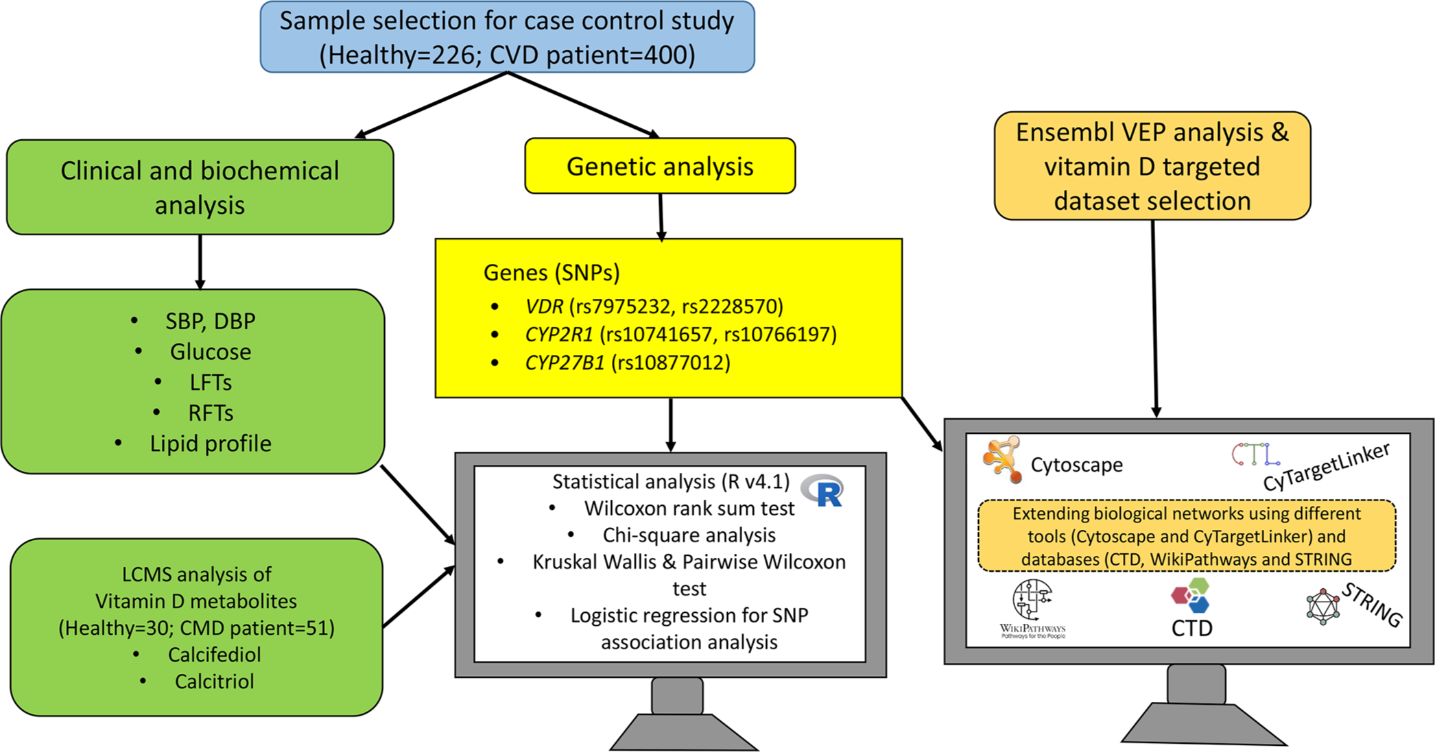 Schematic representation of experimental and bioinformatics workflow. CVD: Cardiovascular disease, VEP: Variant effect predictor, VDR: Vitamin D receptor, SBP: Systolic blood pressure, DBP: Diastolic blood pressure, LFTs: Liver function test, RFTs: Renal function test, LCMS: Liquid chromatography-tandem mass spectrometry, CMD: Cardio-metabolic diseases, SNP: Single nucleotide polymorphisms, CTD: Comparative toxicogenomics database, STRING: Search tool for the retrieval of interacting genes/proteins.